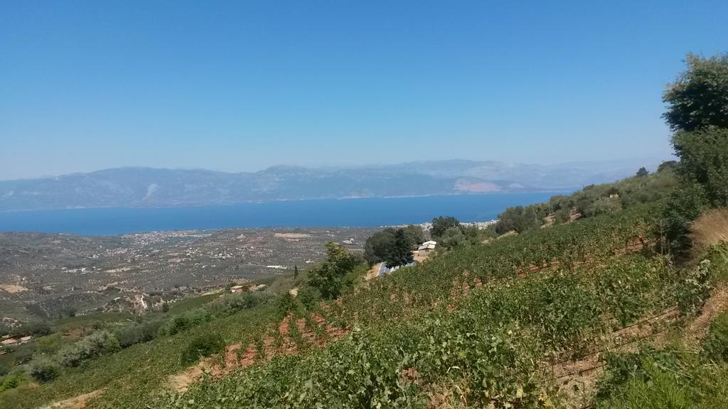 Вилла Spiti Ostria Эйон Экстерьер фото